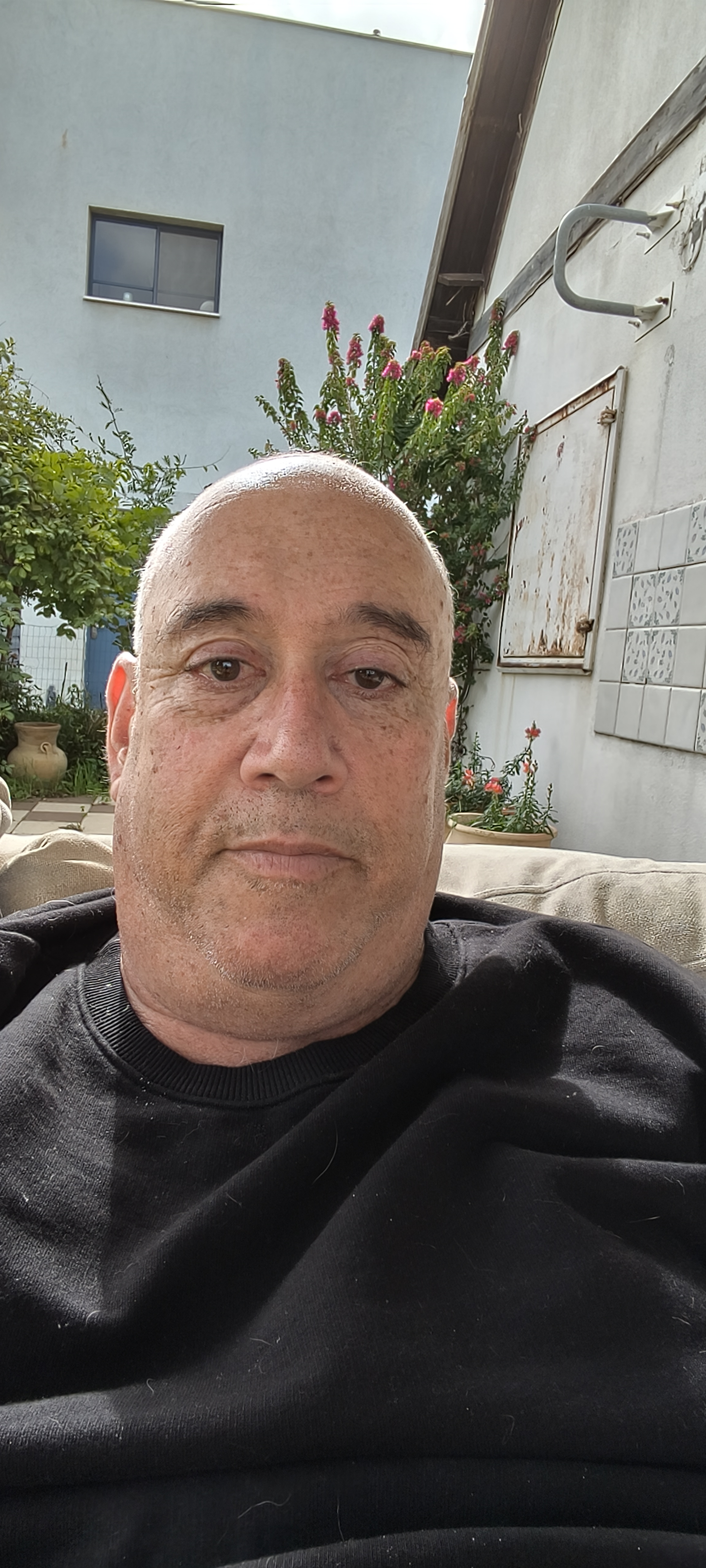 רן שנער